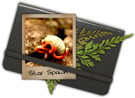 StarSpawn Note Book